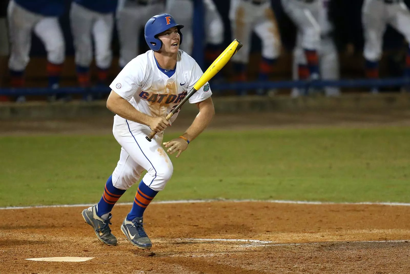 Pete Alonso - Baseball - Florida Gators