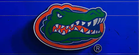 Gator head logo with shadow