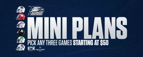 Mini Plans