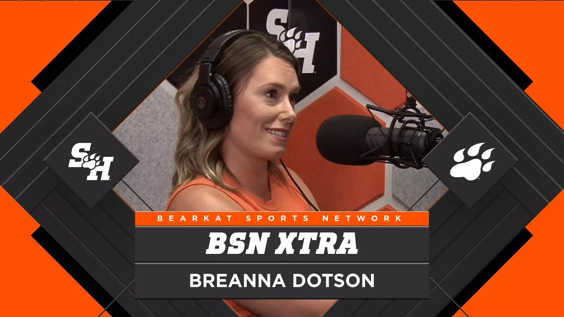 Podcast Image