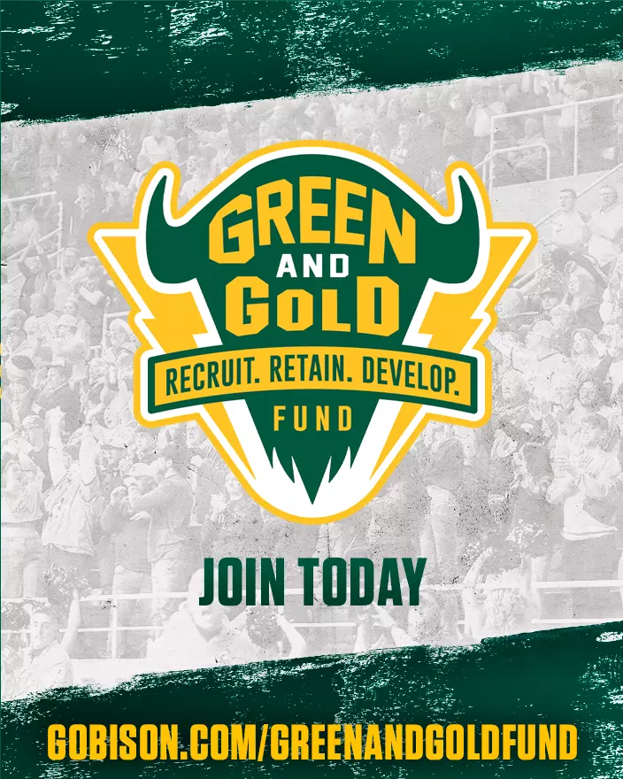 Green and Gold Fund promo