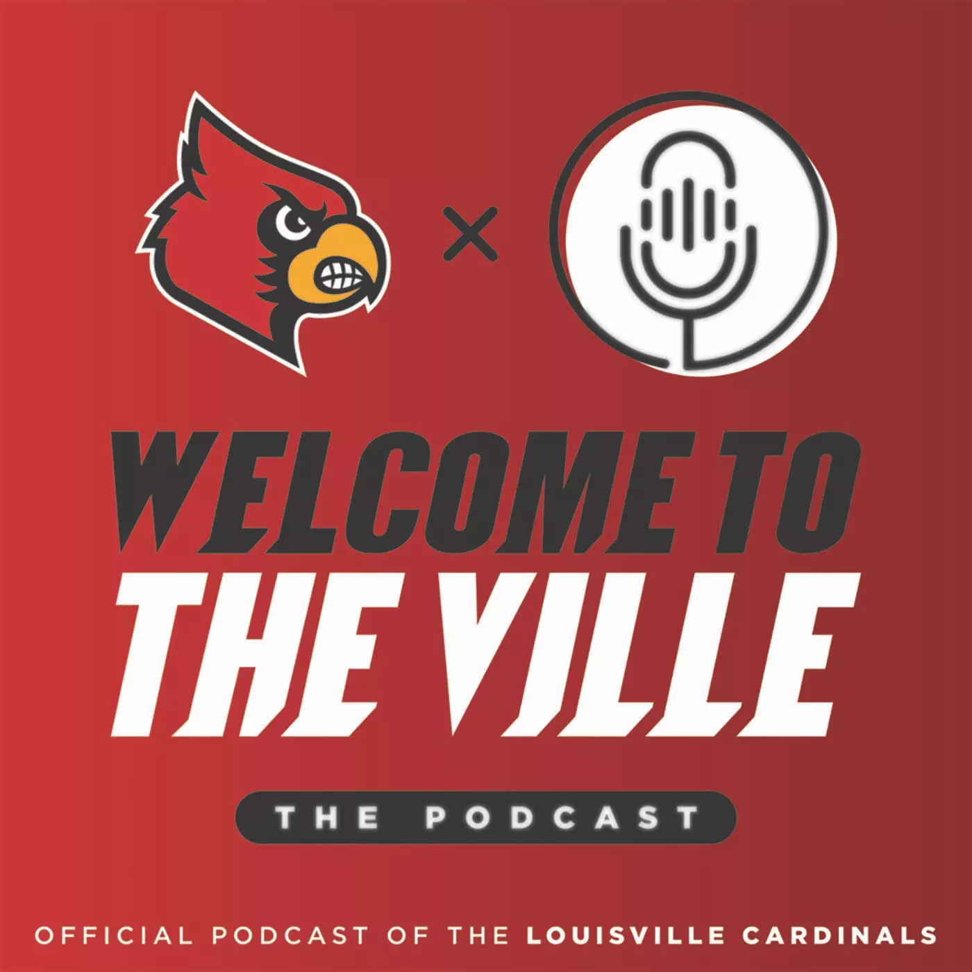 Podcast Image
