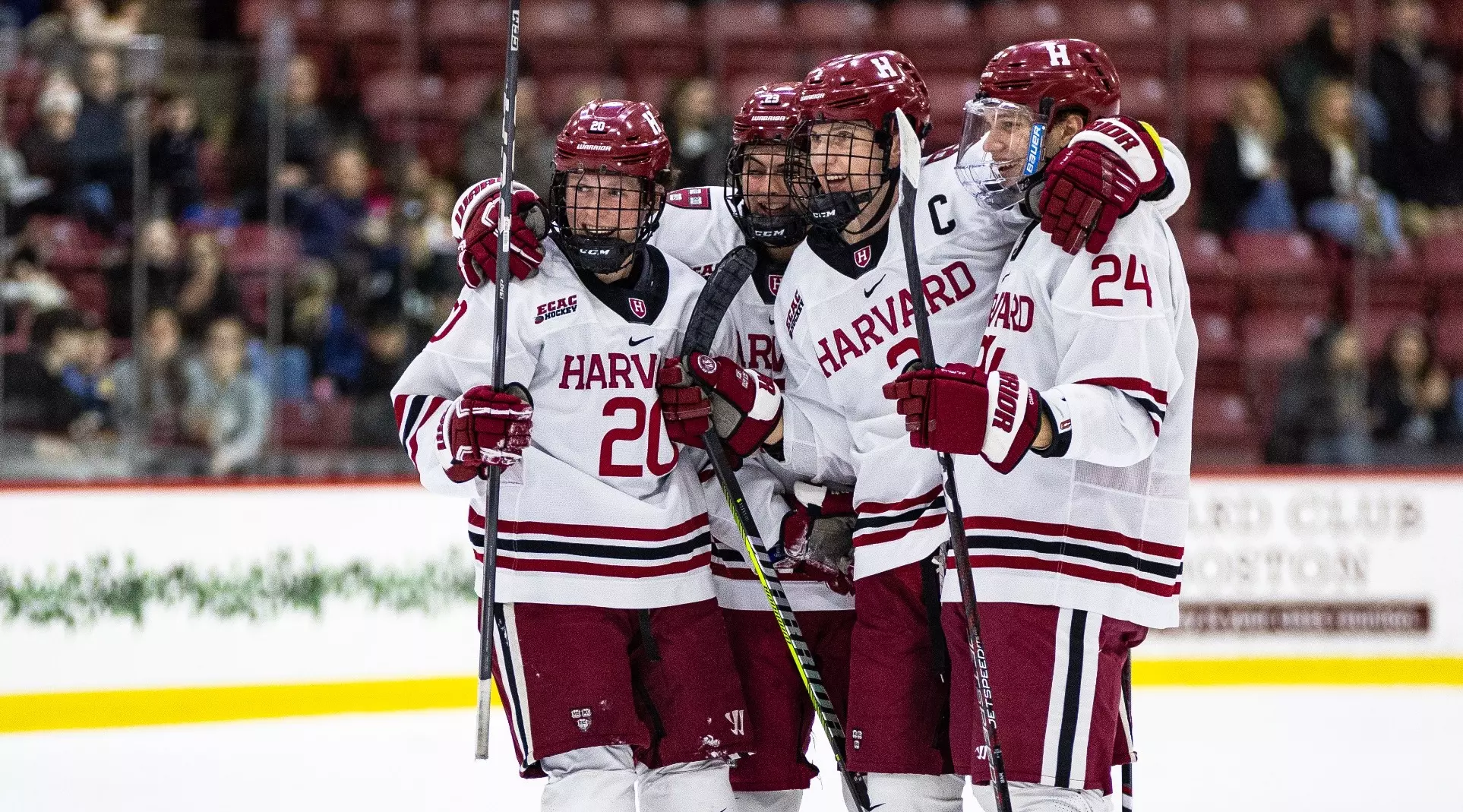 Harvard Hockey Roster: Meet the 2024-2024 Crimson Stars