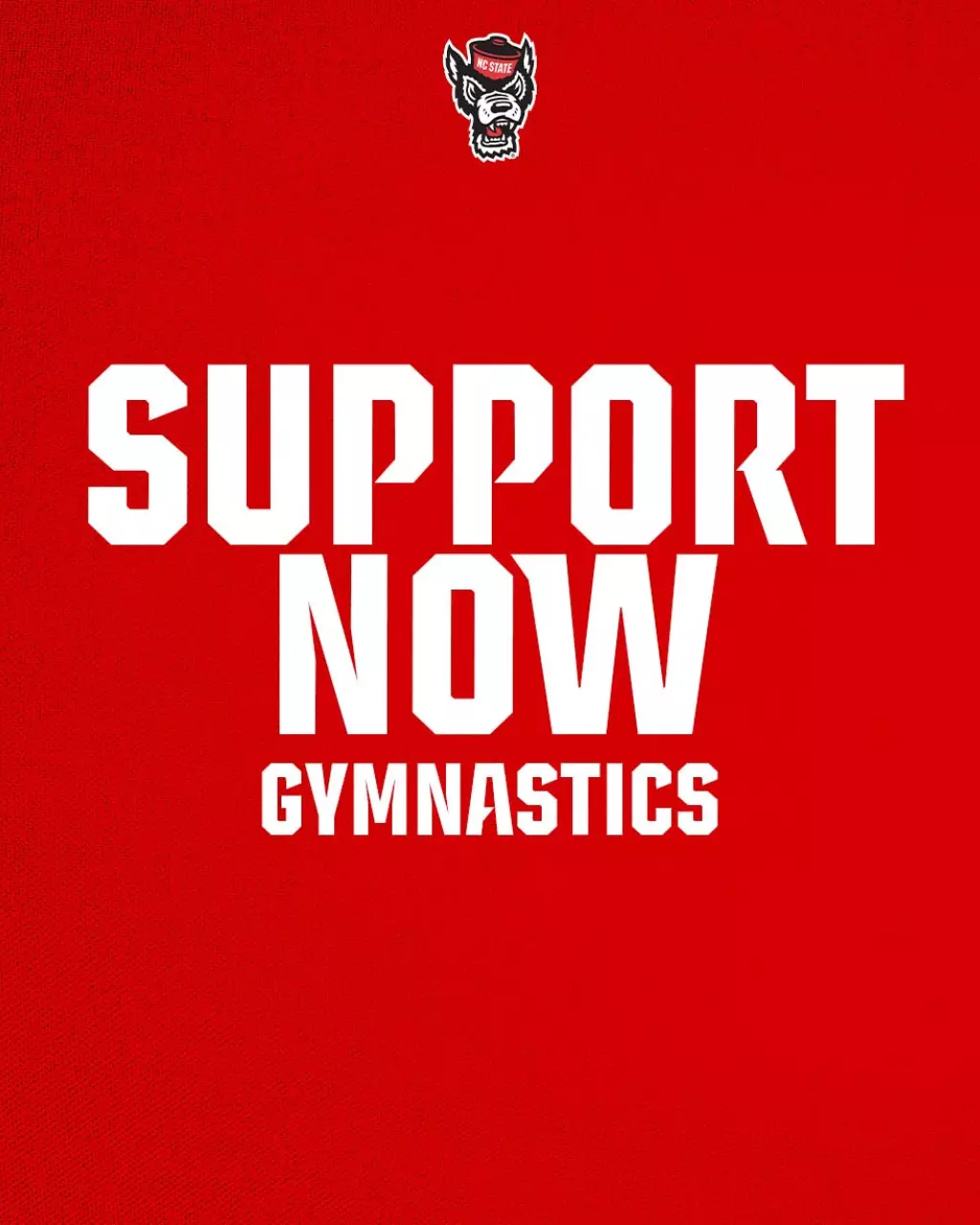 Support Gymnastics