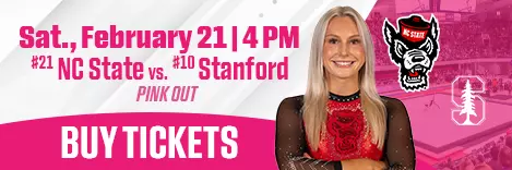 Pink Out - Gymnastics Banner