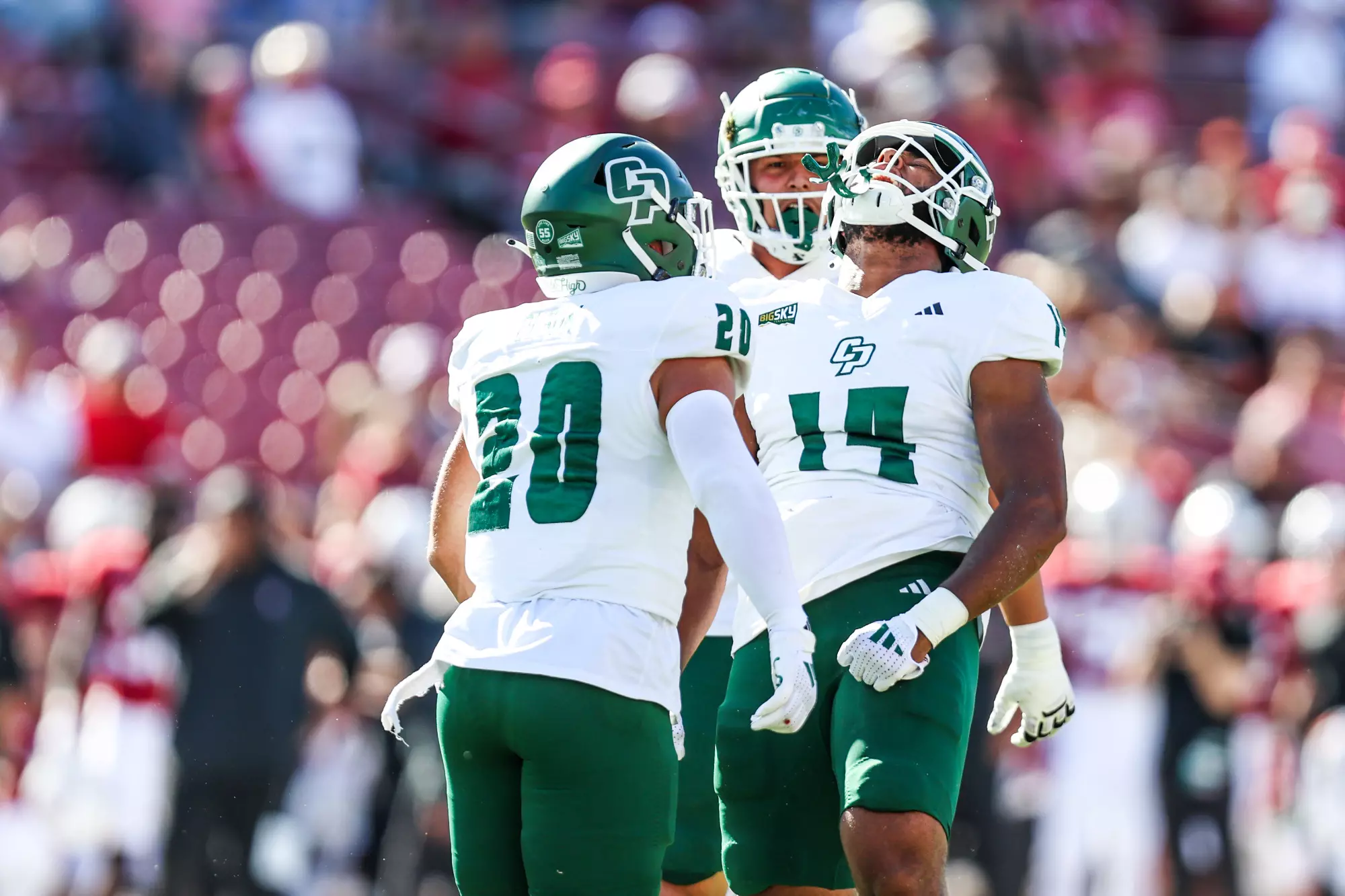 Elijah Ponder - 2024 - Football - Cal Poly