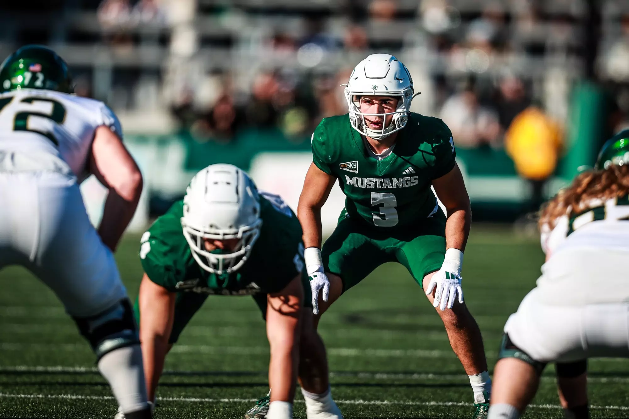 Photo by Owen Main 11/16/24