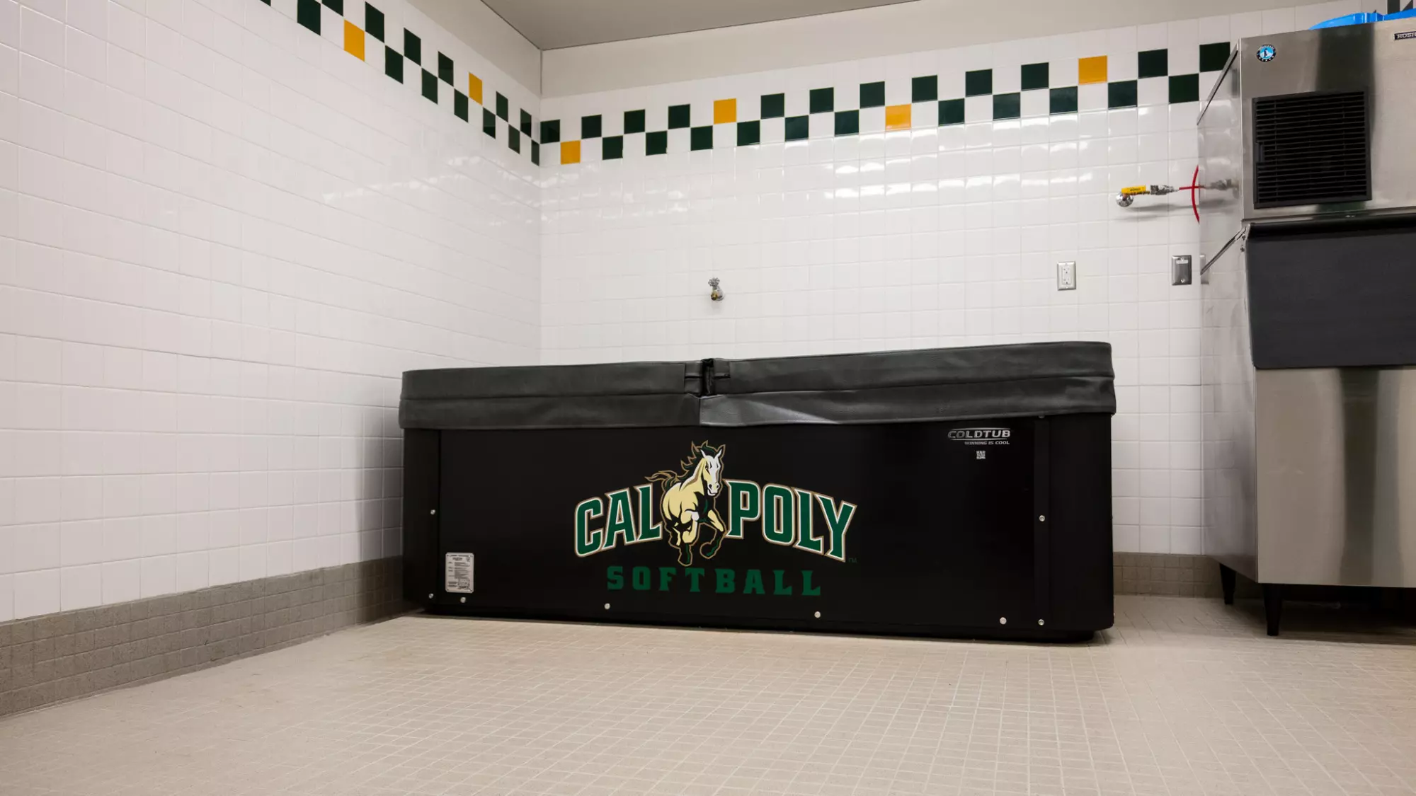 Locker Room Ice Bath (Galvan)