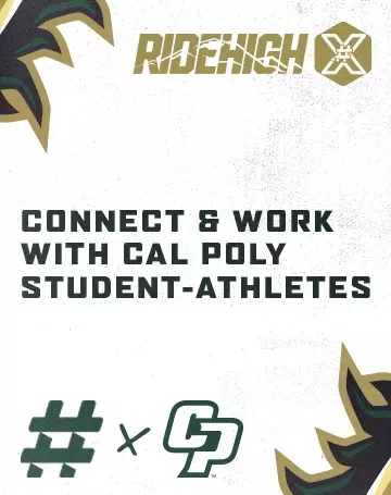 Influencer Promo 360