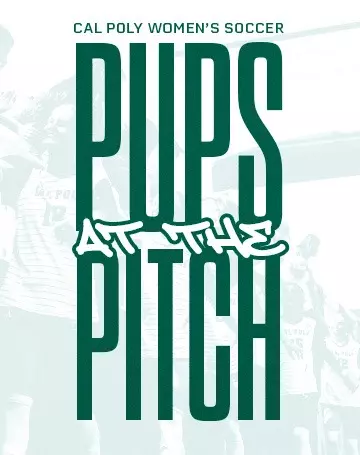 26 Pup at Pitch - Rail