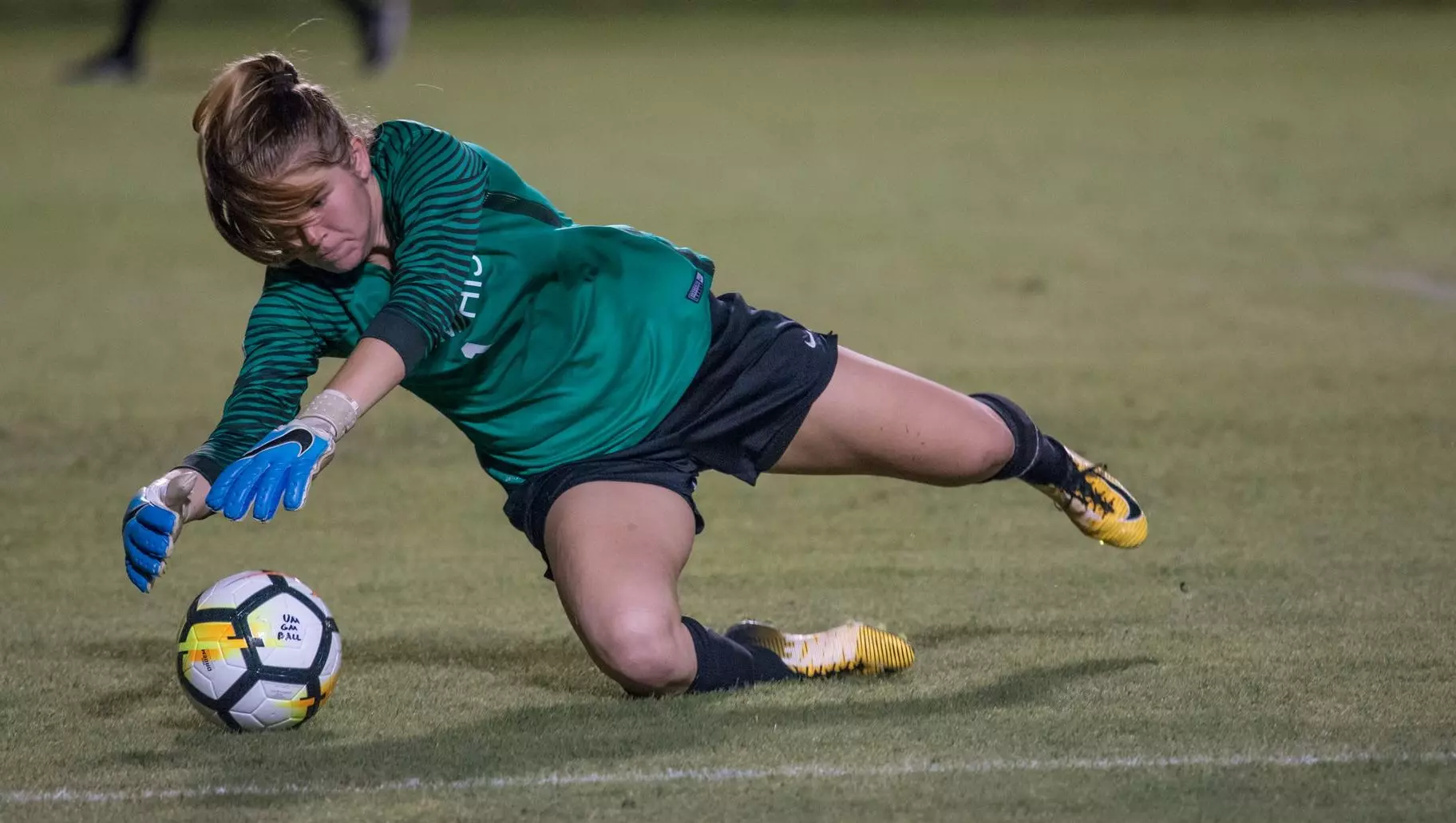 Rachel Ashworth Shepard