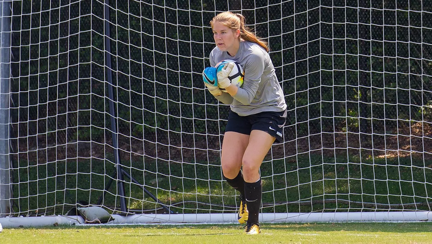 Rachel Ashworth Shepard vs Indiana