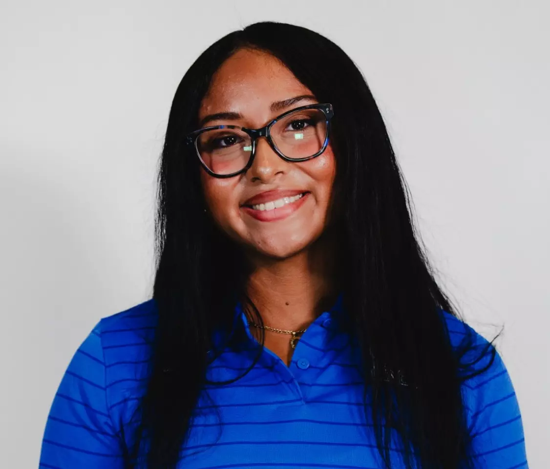 Chrysanthemum Osorio promo image