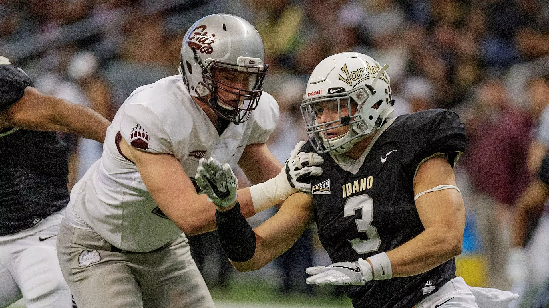 Kaden Elliss - Football - University of Idaho Athletics