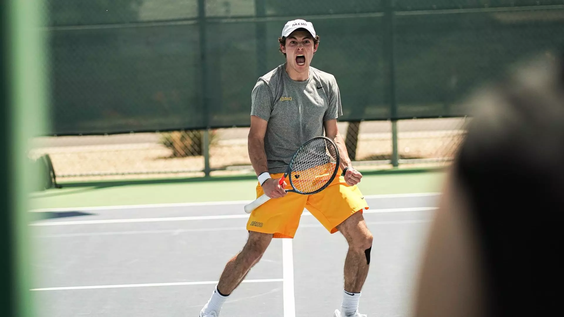 Bruno Casino ambiance