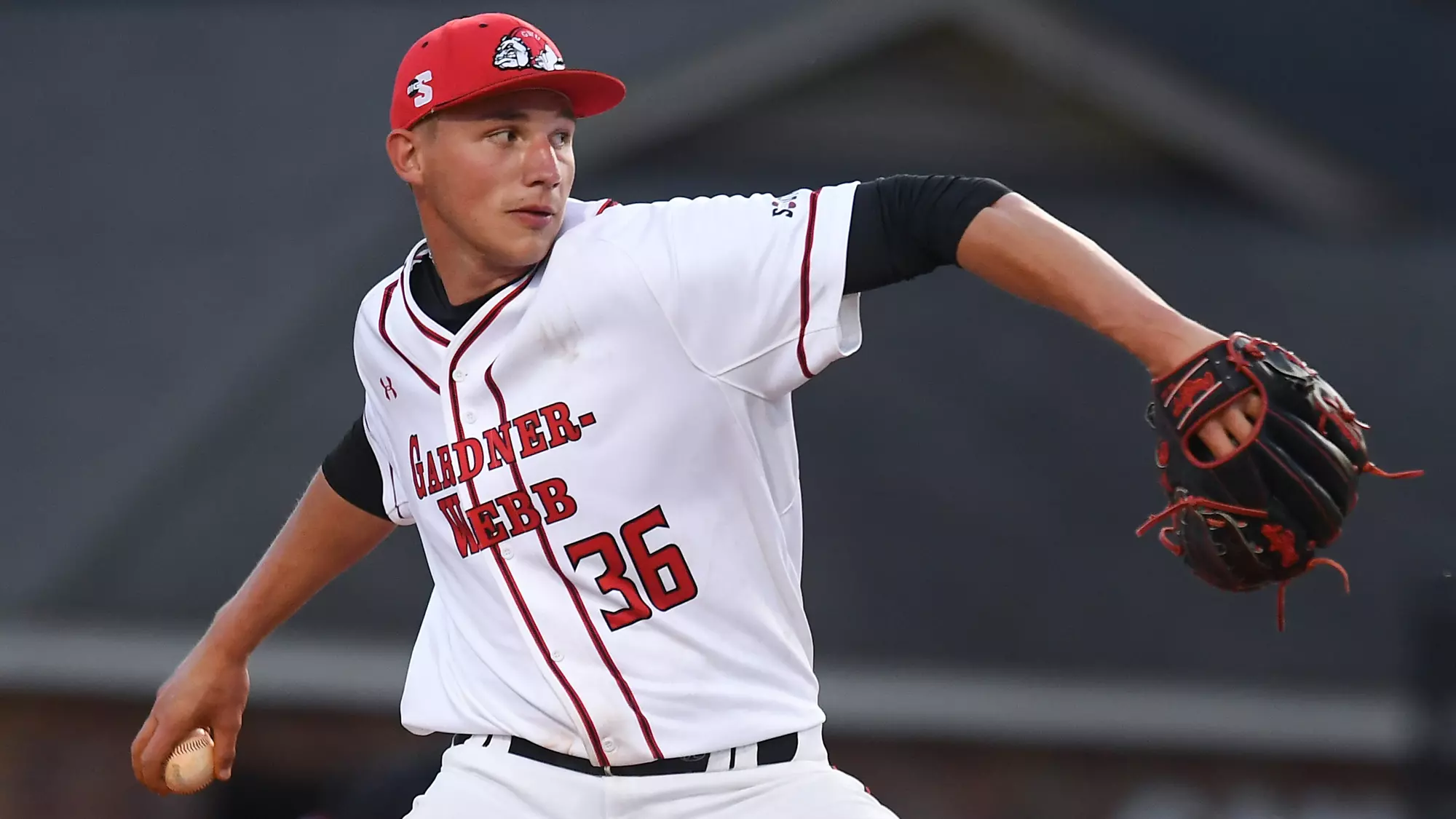 Noah Davis - Baseball - Gardner-Webb University Athletics