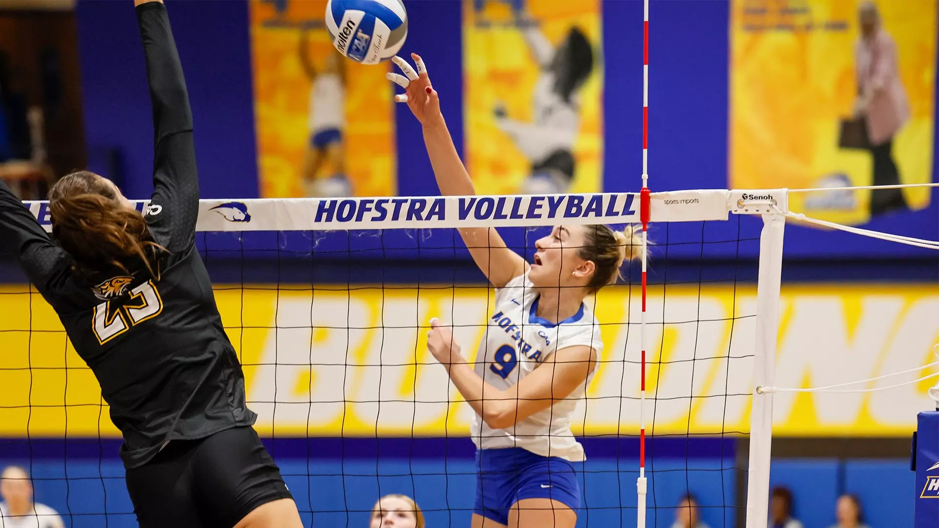 Yagmur Cinel - Volleyball - Hofstra University Athletics