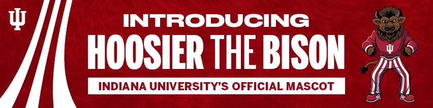 Bison Website Tile Ad - Middle