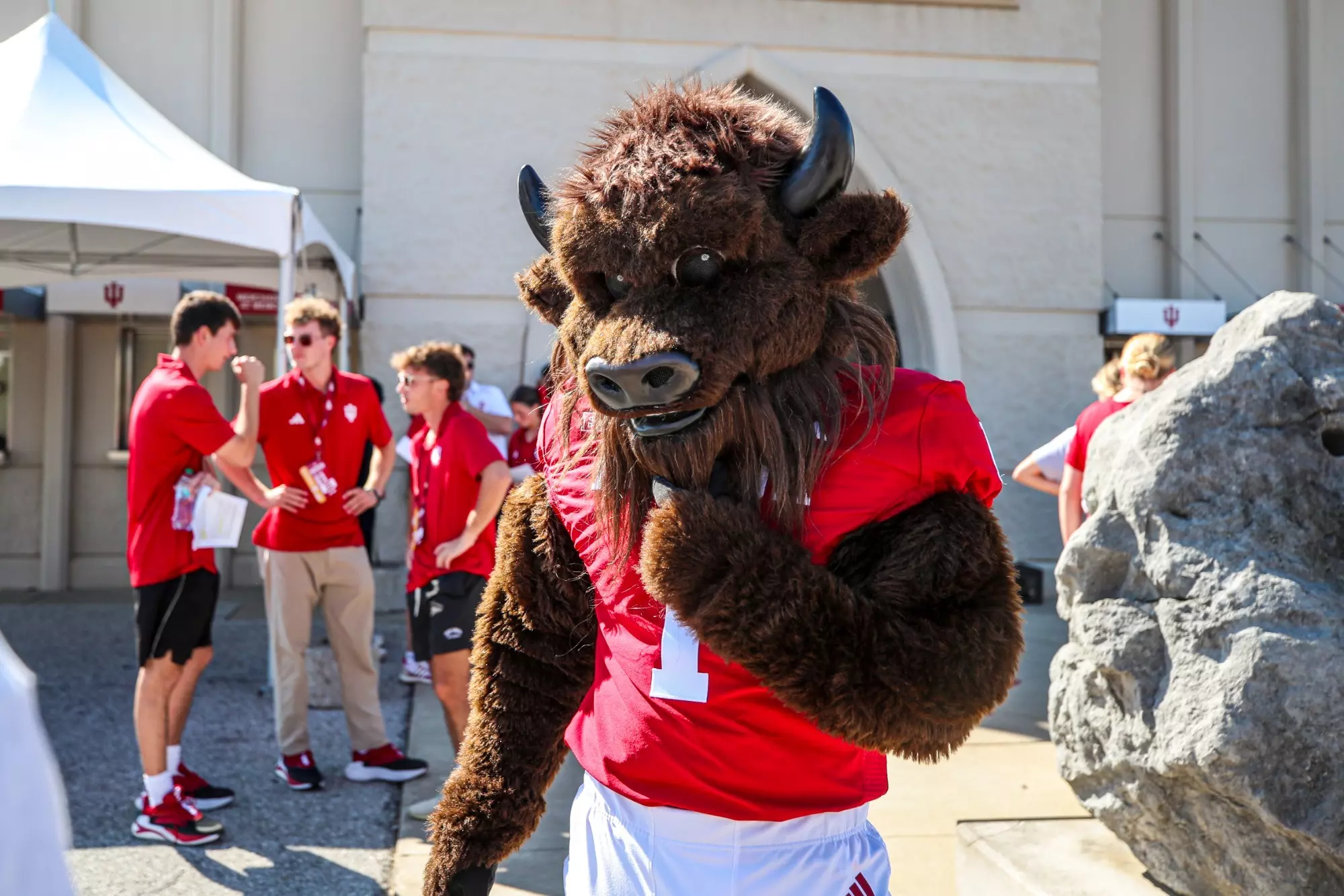 BLOOMINGTON, IN - September 12, 2025 - Hoosier the Bison during the game between the Indiana State Sycamores and the Indiana Hoosiers at Merchants Bank Field at Memorial Stadium in Bloomington, IN. Photo By Benjamin Harper/Indiana Athletics