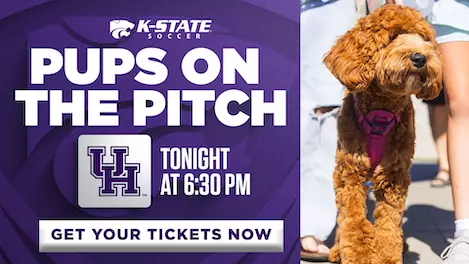 SC26-PupsOnThePitchTonight