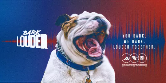 Bark Louder website banner