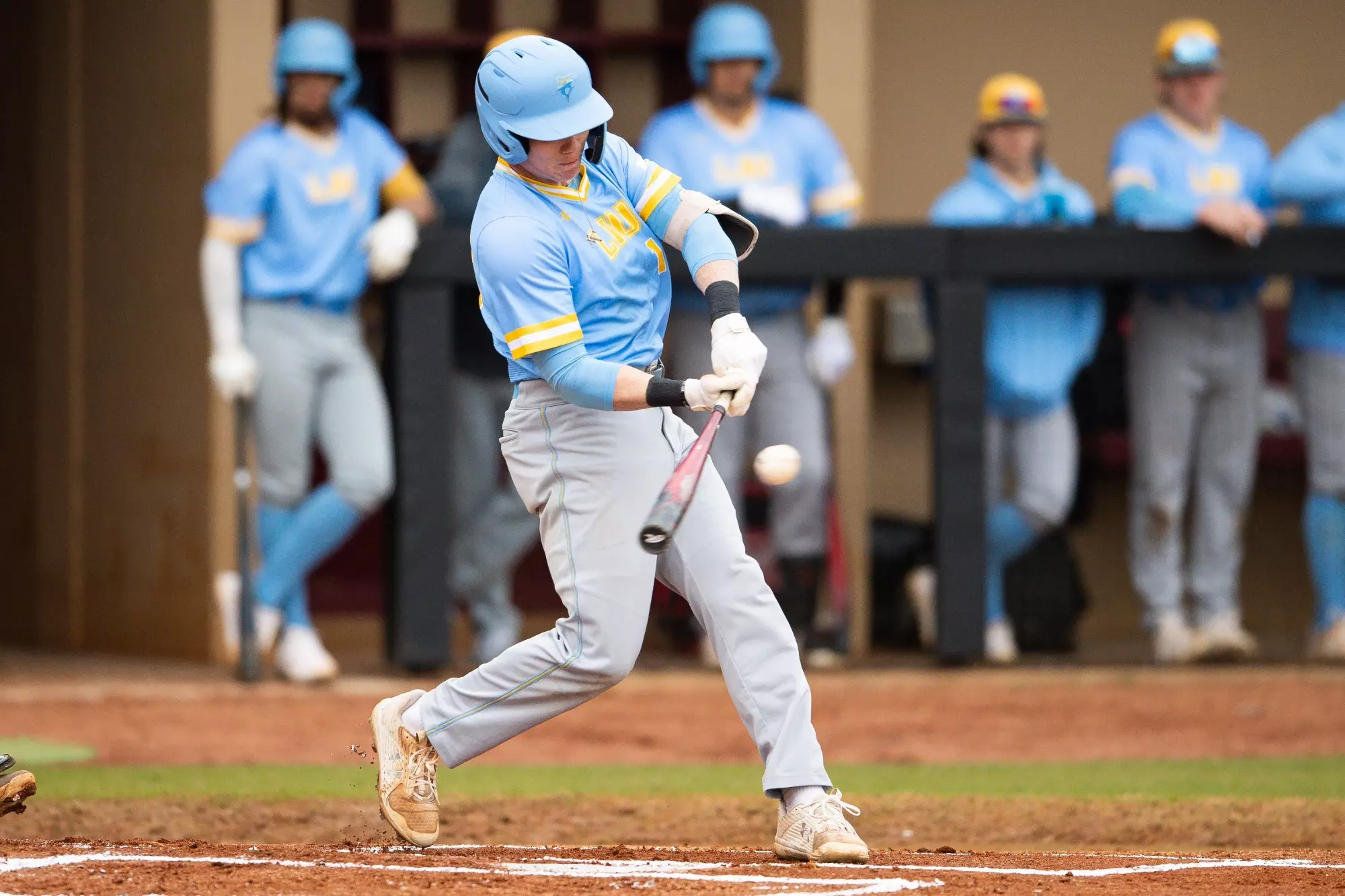 Long Island University Athletics long-island-university-athletics