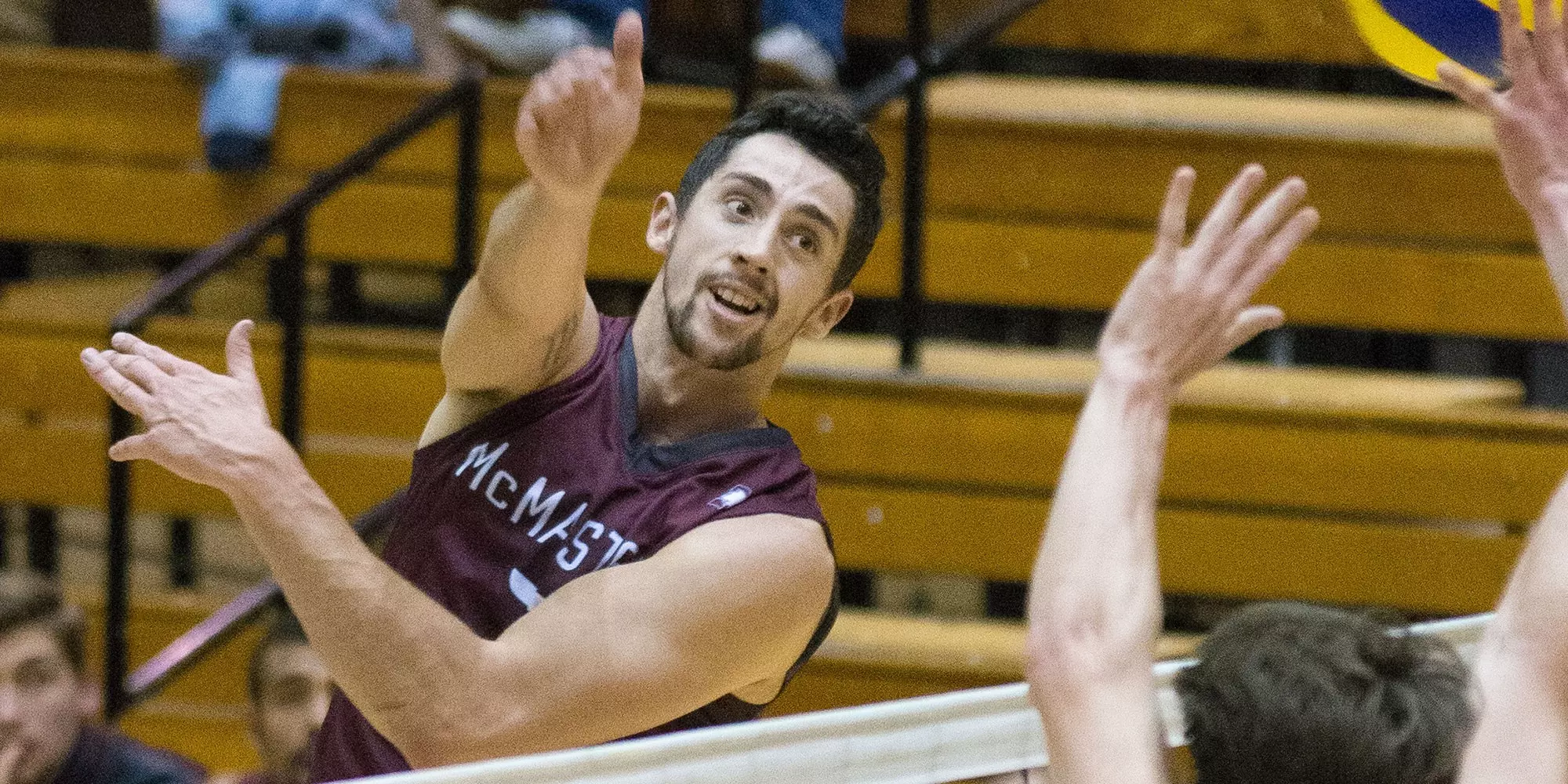 Stephen Maar - Men's Volleyball - McMaster University Athletics