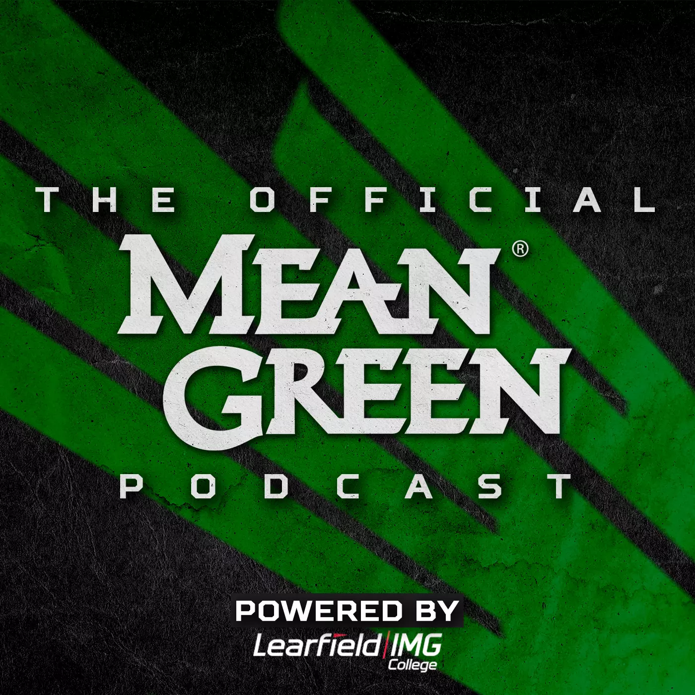 Podcast Image