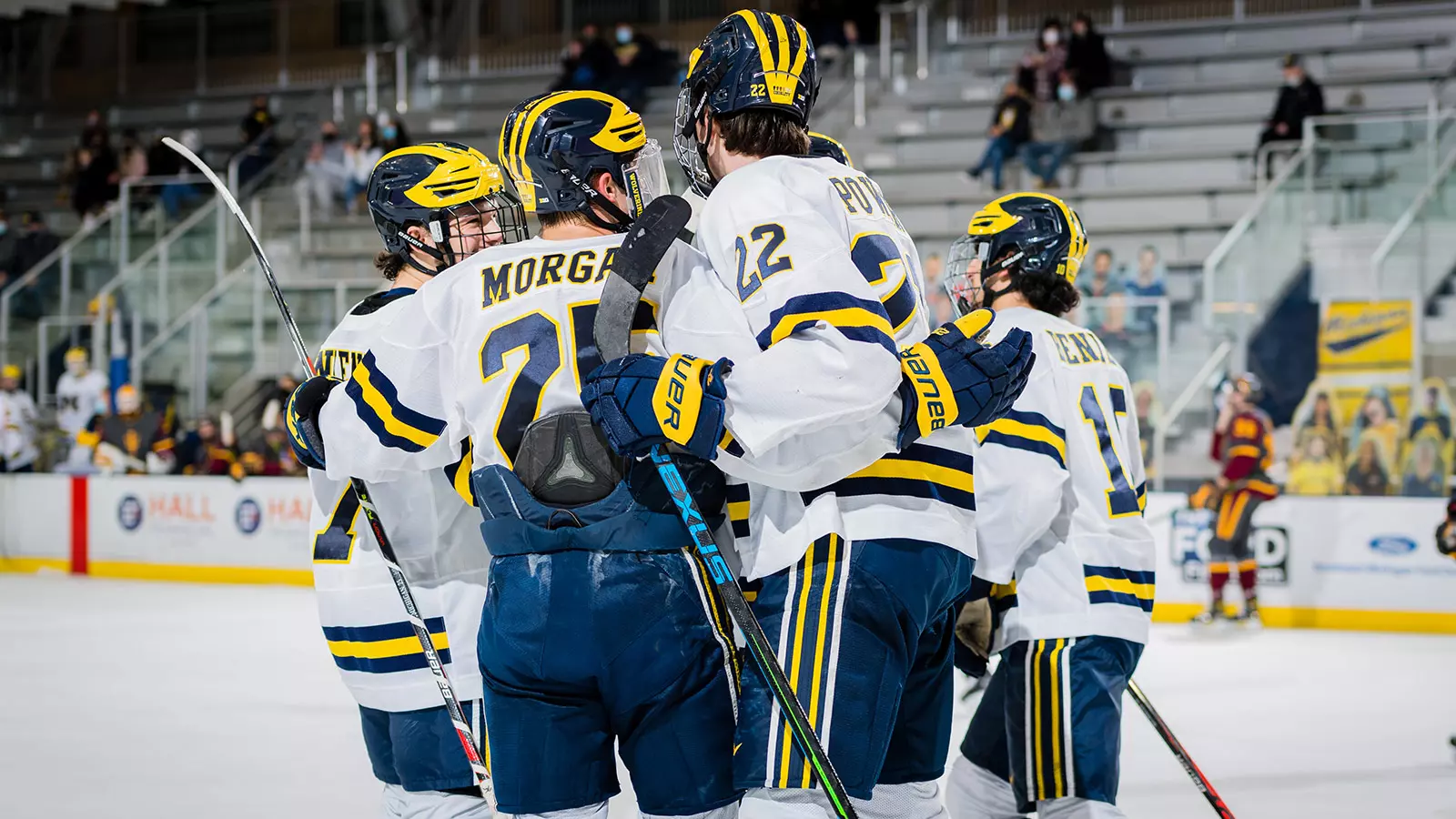 Ice Hockey Goal Celebration Generic