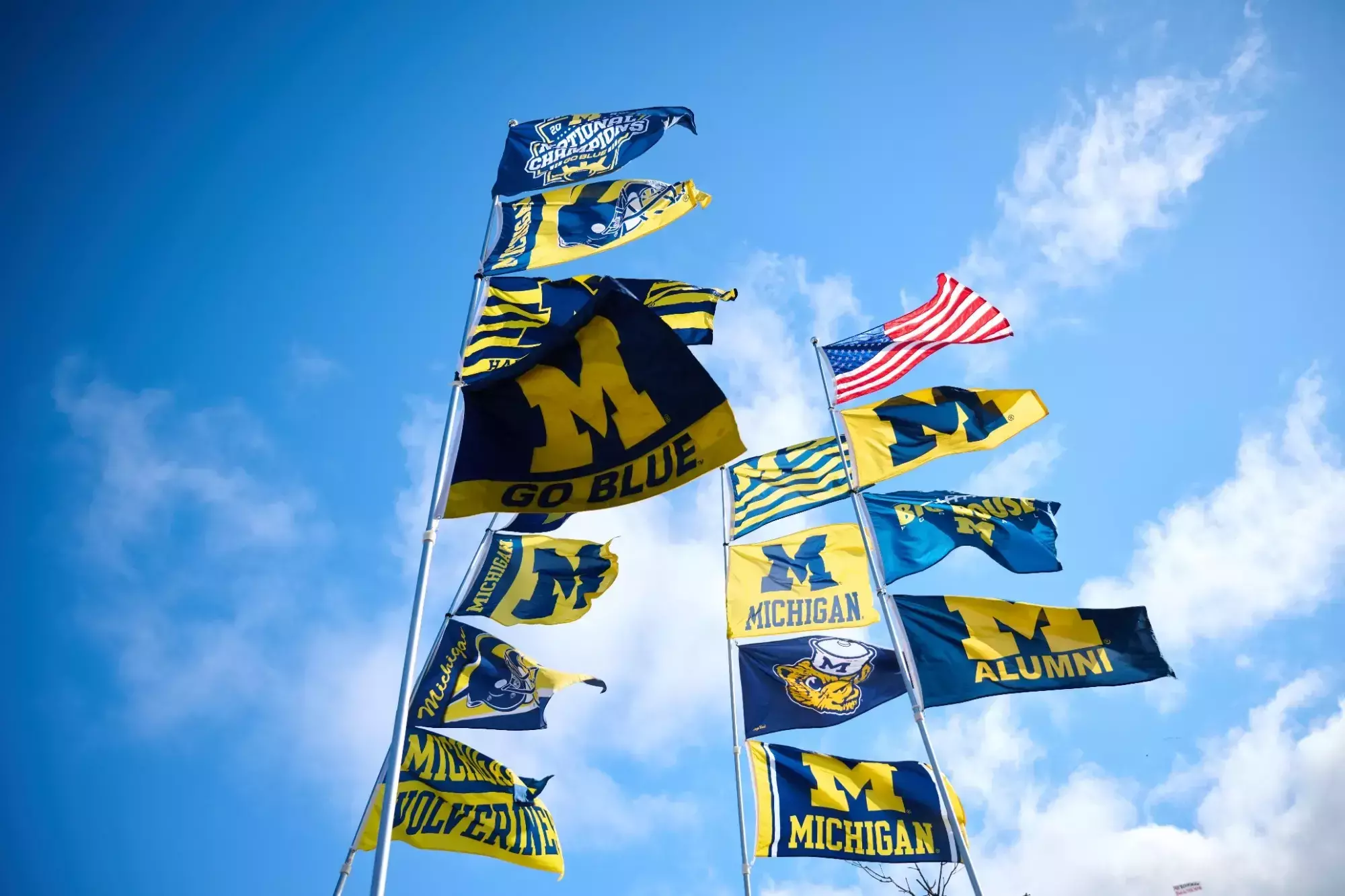 A variety of Michigan Flags on flag poles