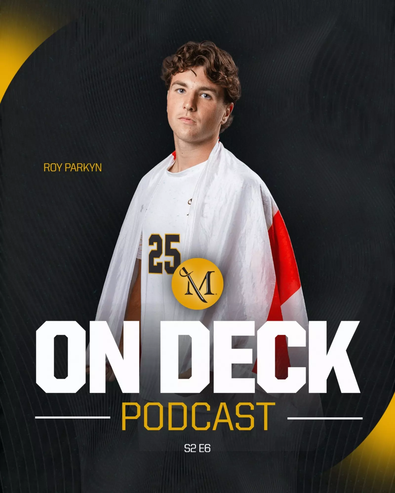 Podcast Image