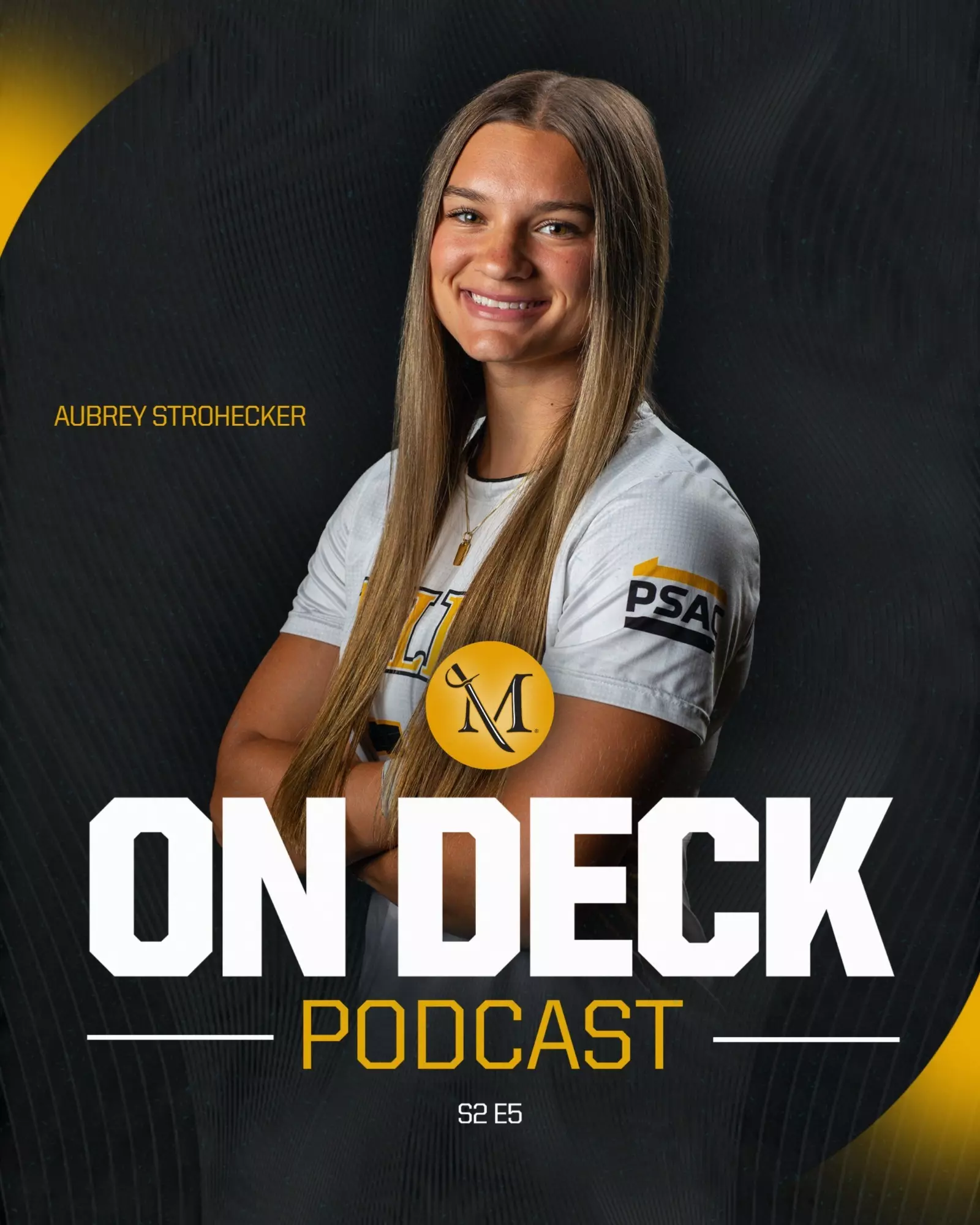 Podcast Image