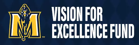 Vision For Excellence Fund