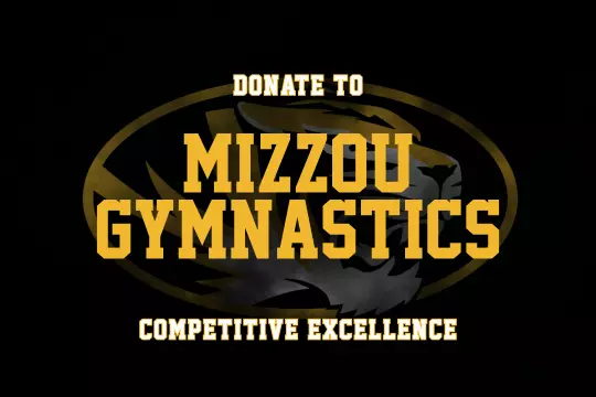 GYM Excellence Fund Promo A (1)