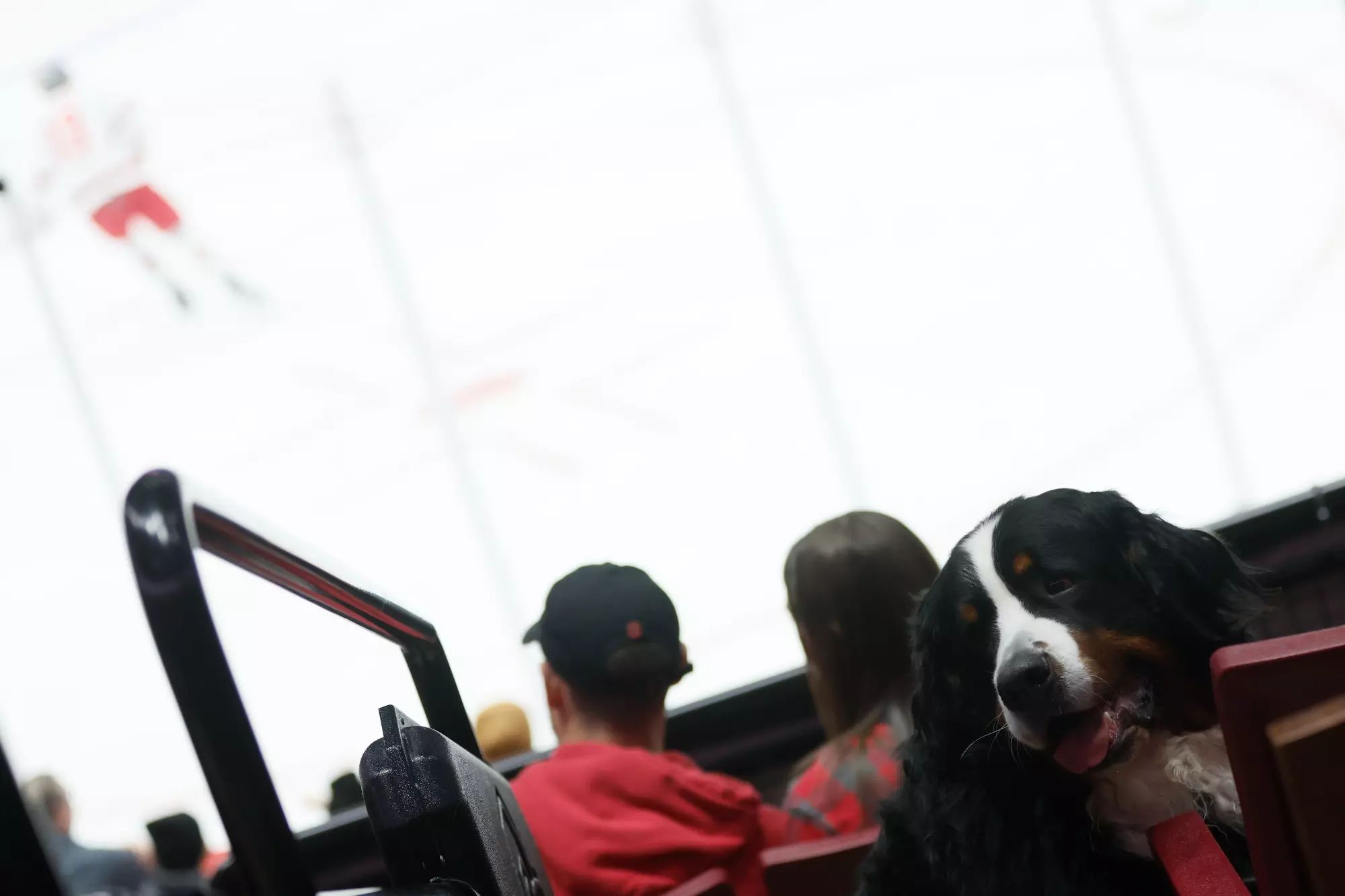 Ohio State men's hockey vs. Michigan State on Saturday, Jan. 7, 2023, in Columbus, Ohio. (Photo/Jay LaPrete)