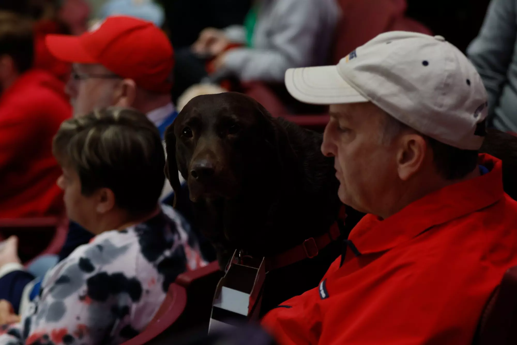 Ohio State men's hockey vs. Michigan State on Saturday, Jan. 7, 2023, in Columbus, Ohio. (Photo/Jay LaPrete)