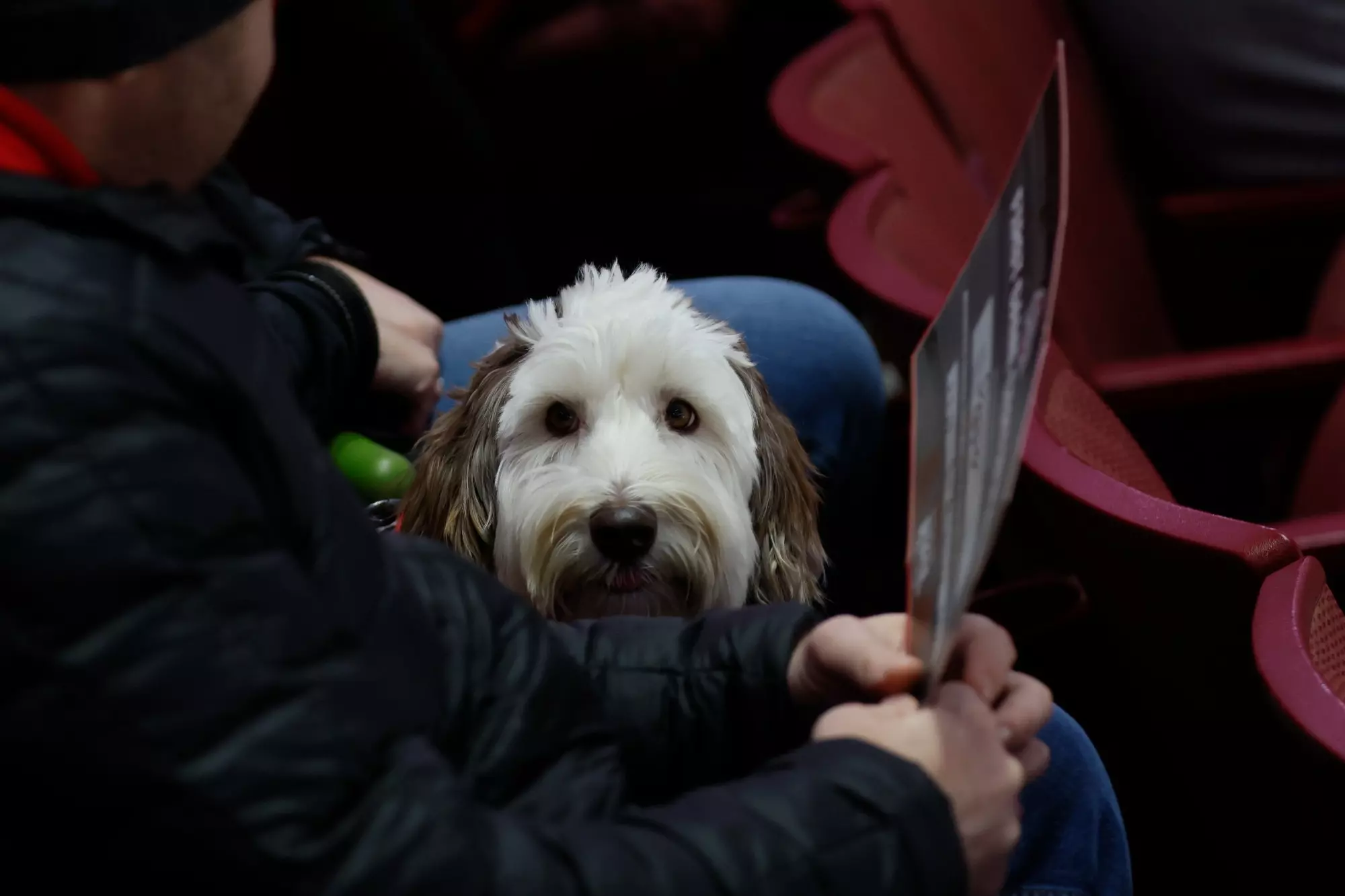 Ohio State men's hockey vs. Michigan State on Saturday, Jan. 7, 2023, in Columbus, Ohio. (Photo/Jay LaPrete)