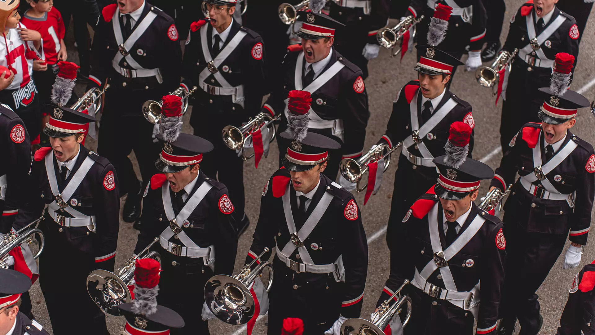tbdbitl bg