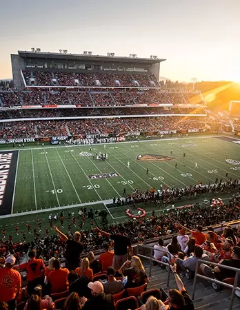 Reser Stadium promo image