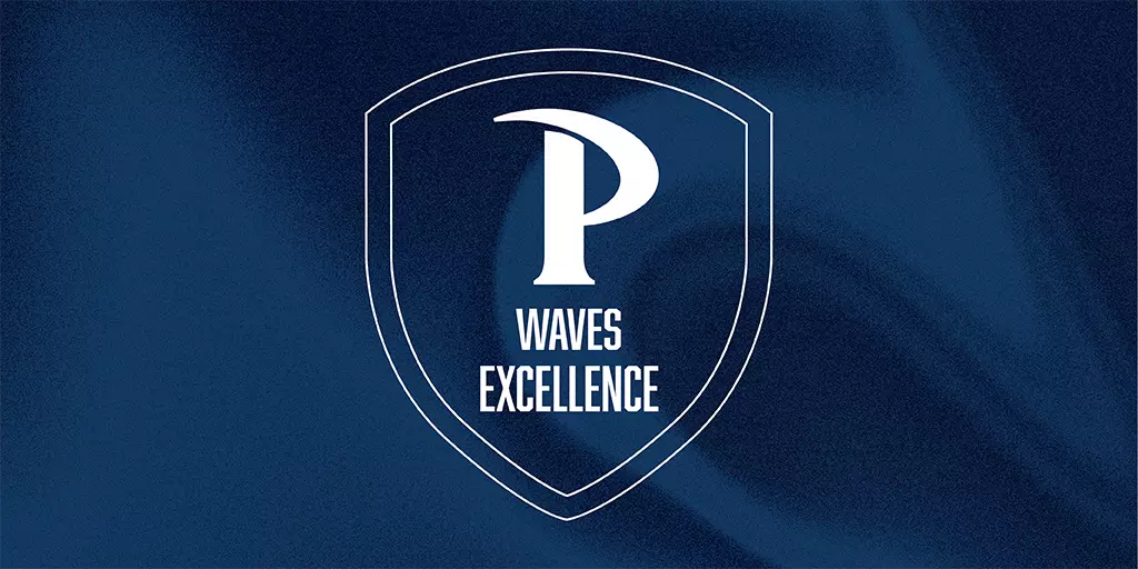 Waves Excellence Banner