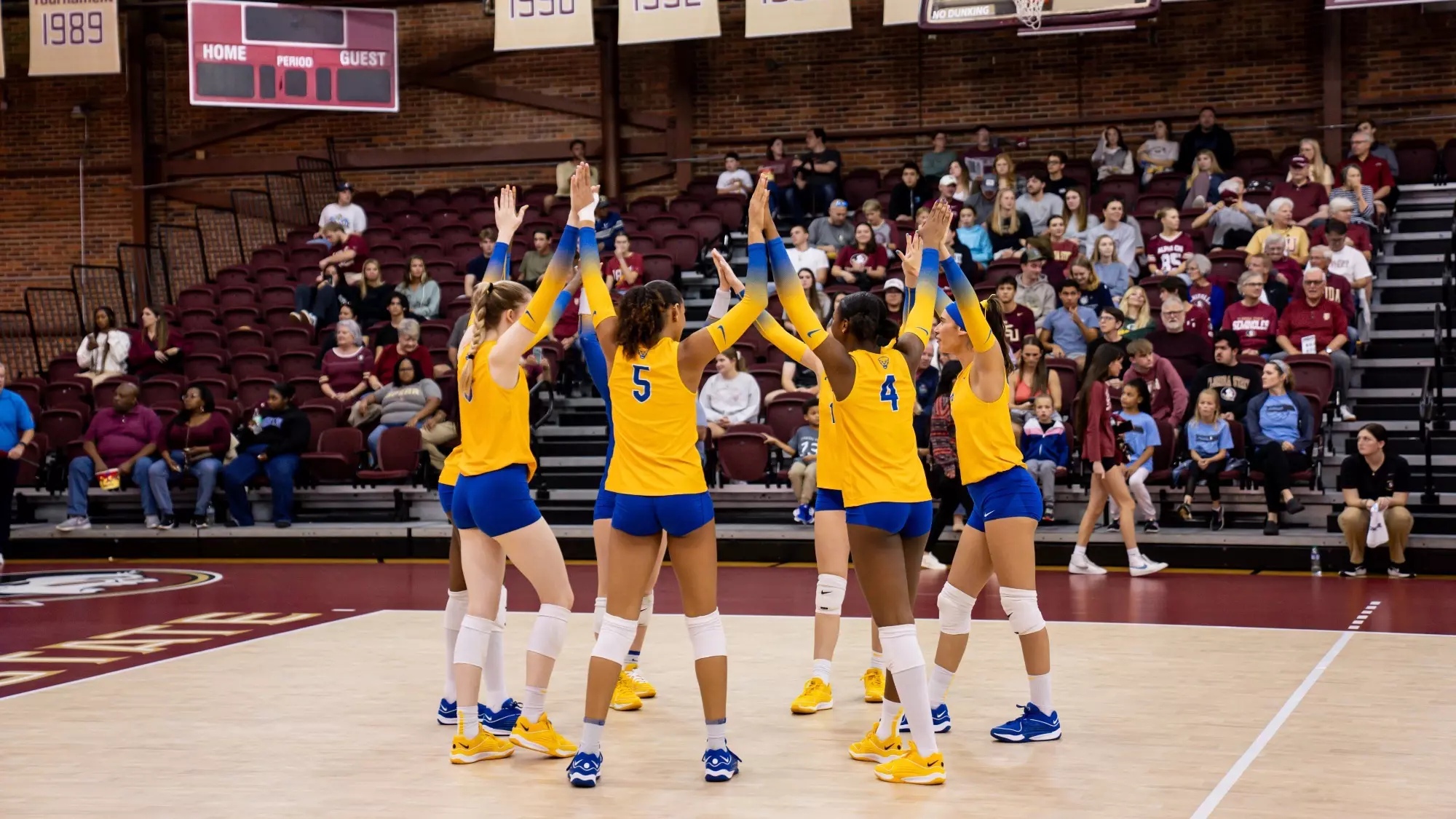 Pitt Fights, Falls to Florida State in Five Sets - Pitt Panthers #H2P pitt-fights-falls-to-florida-state-in-five-sets-pitt-panthers-h2p