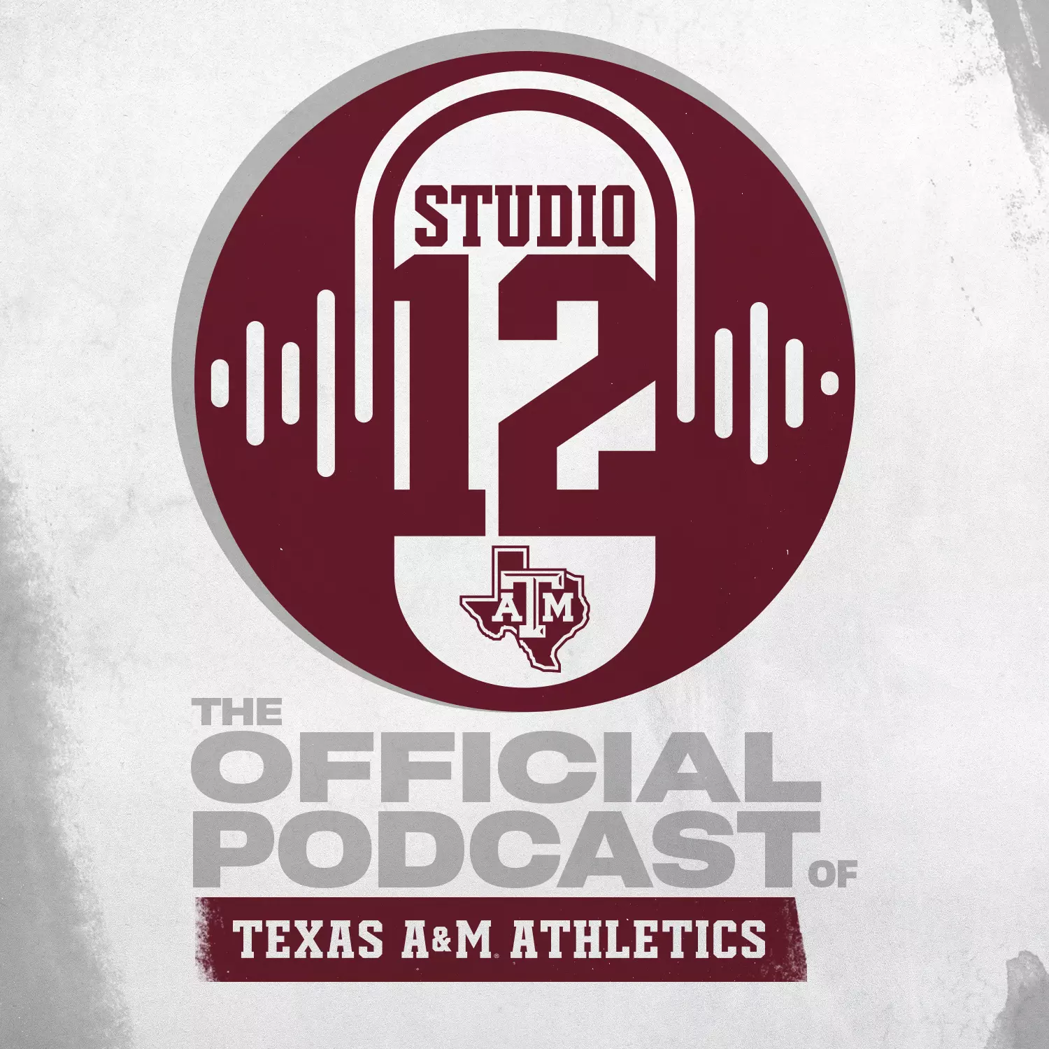 Podcast Image