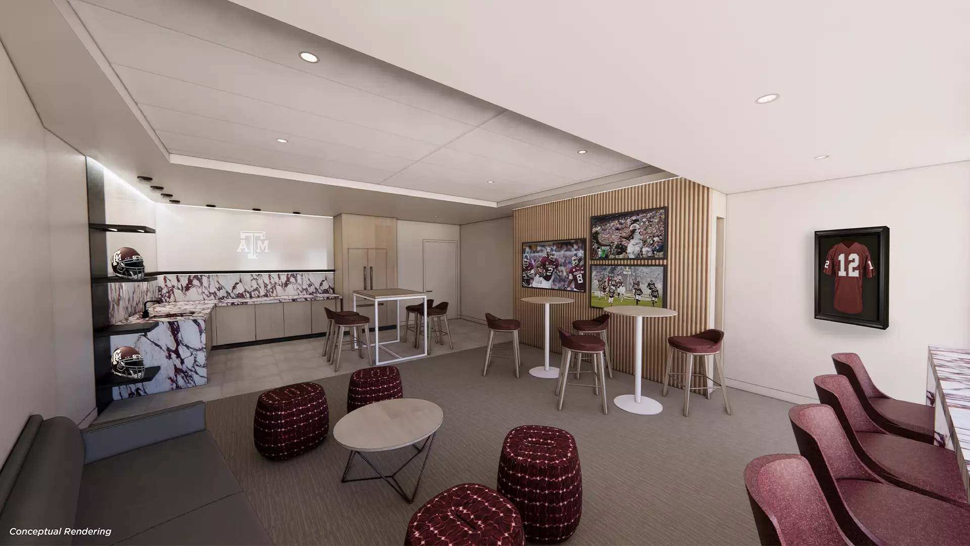 South Endzone Suite Concept