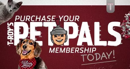 PP