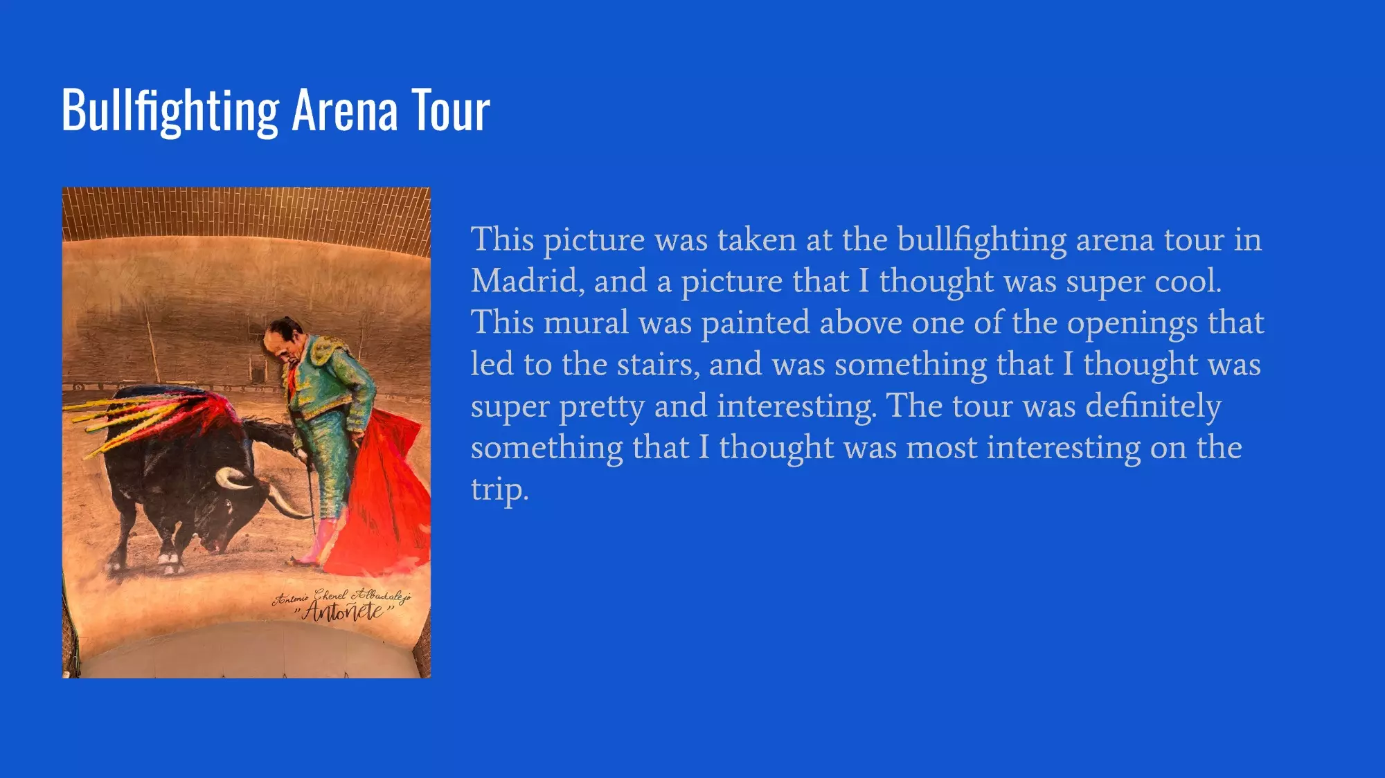 Slideshow Image