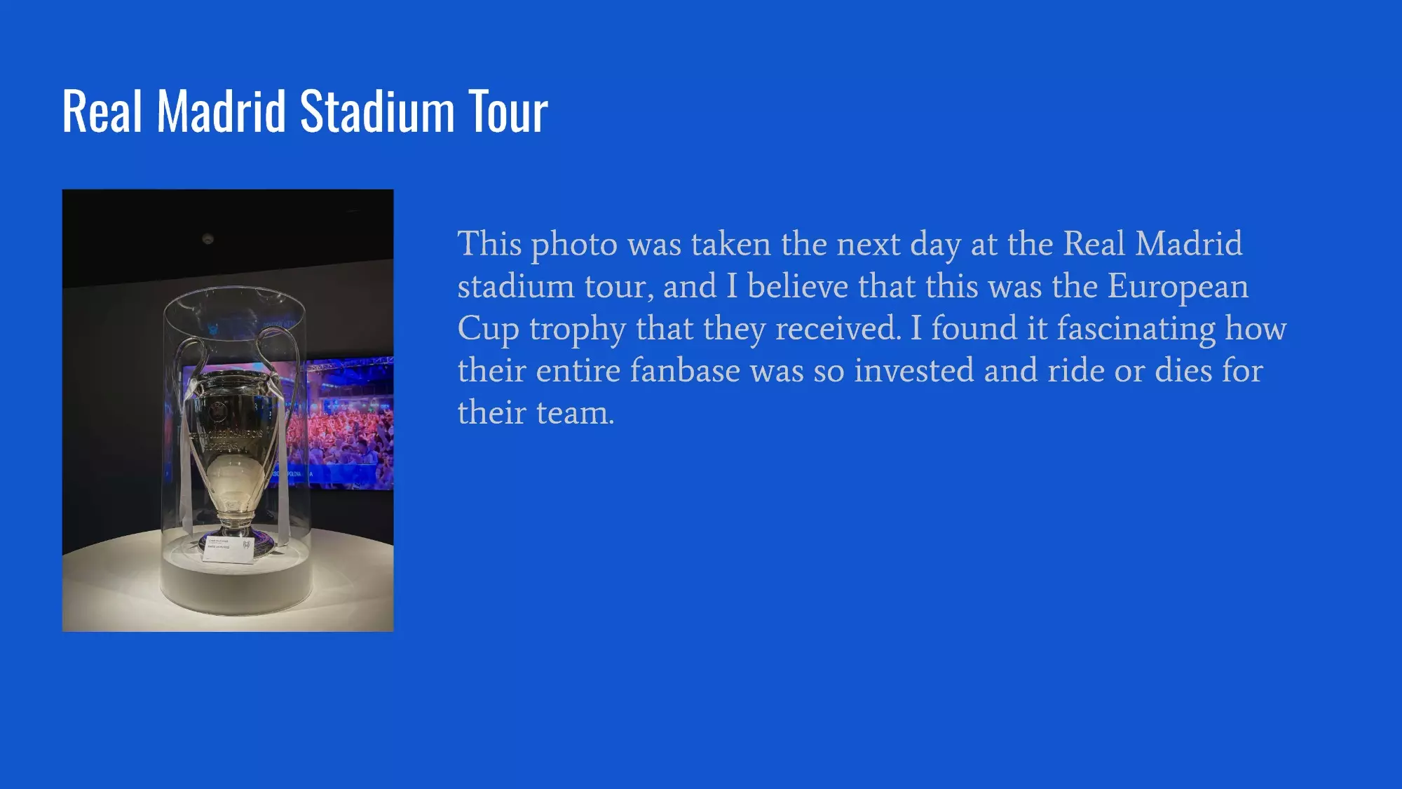 Slideshow Image