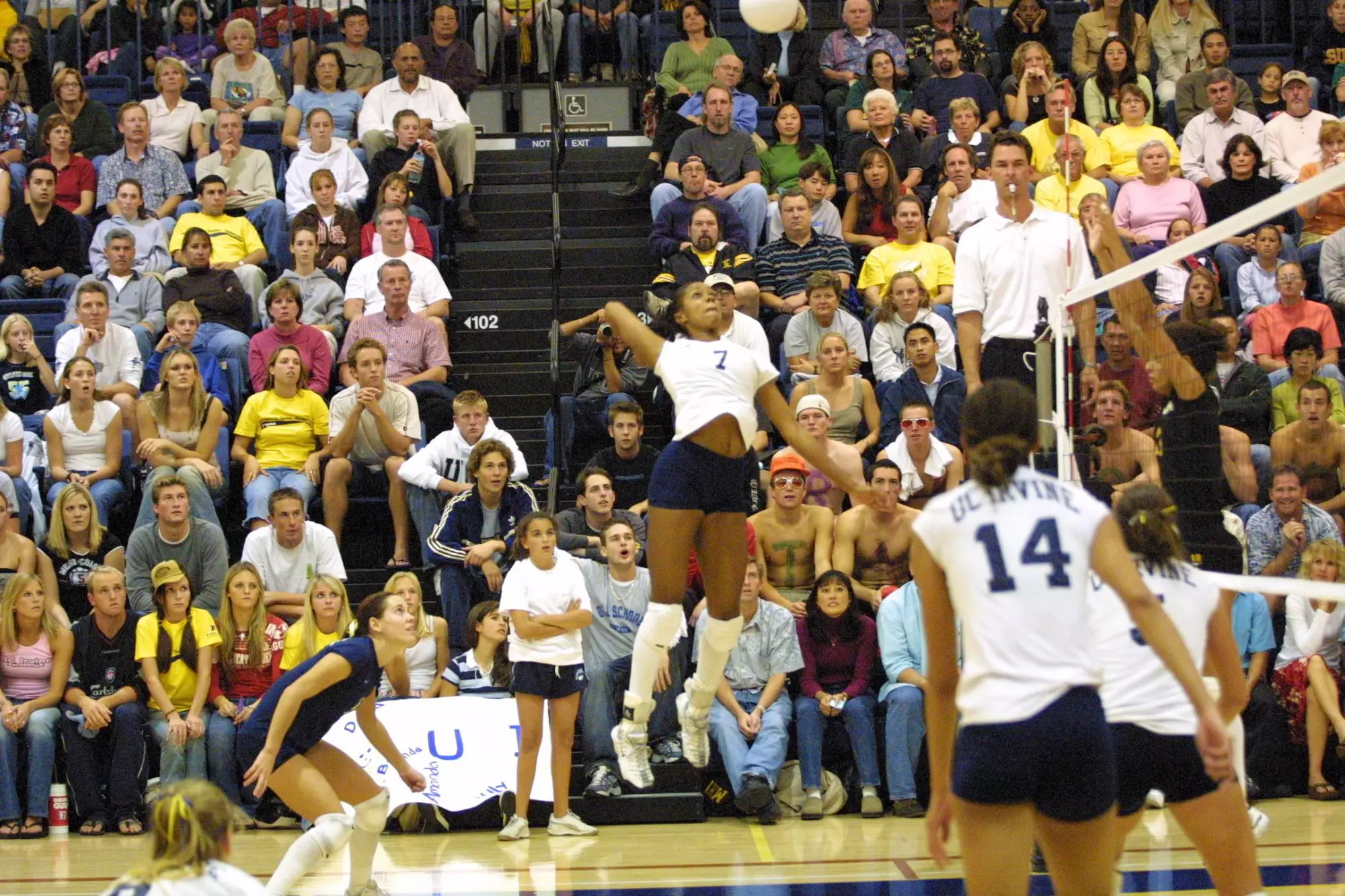 Terbrie-Taylor-WVB-2023