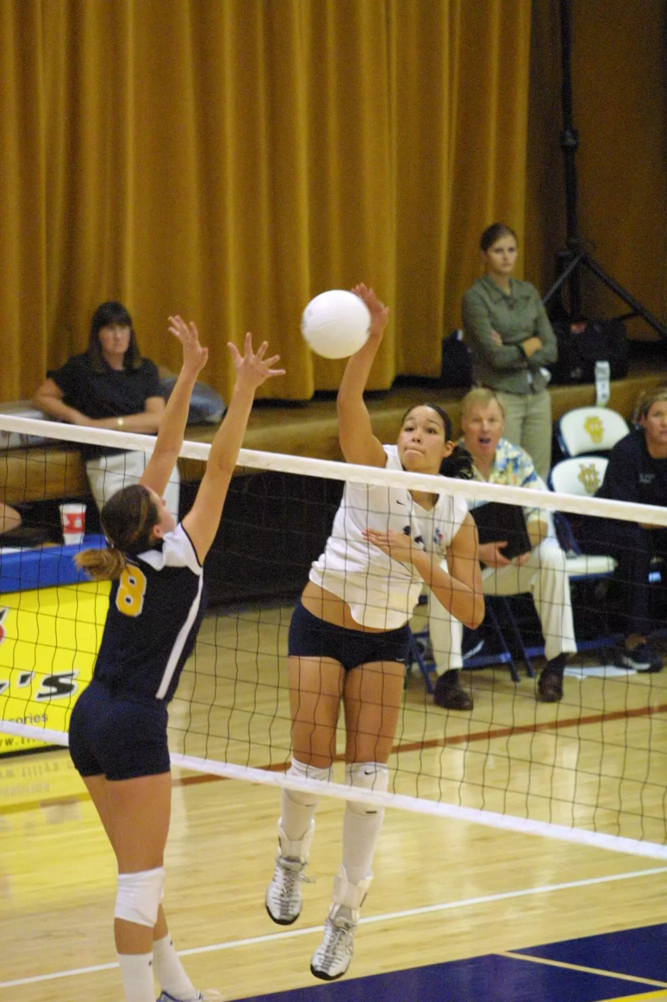 Amanda-Vasquez-WVB-2003