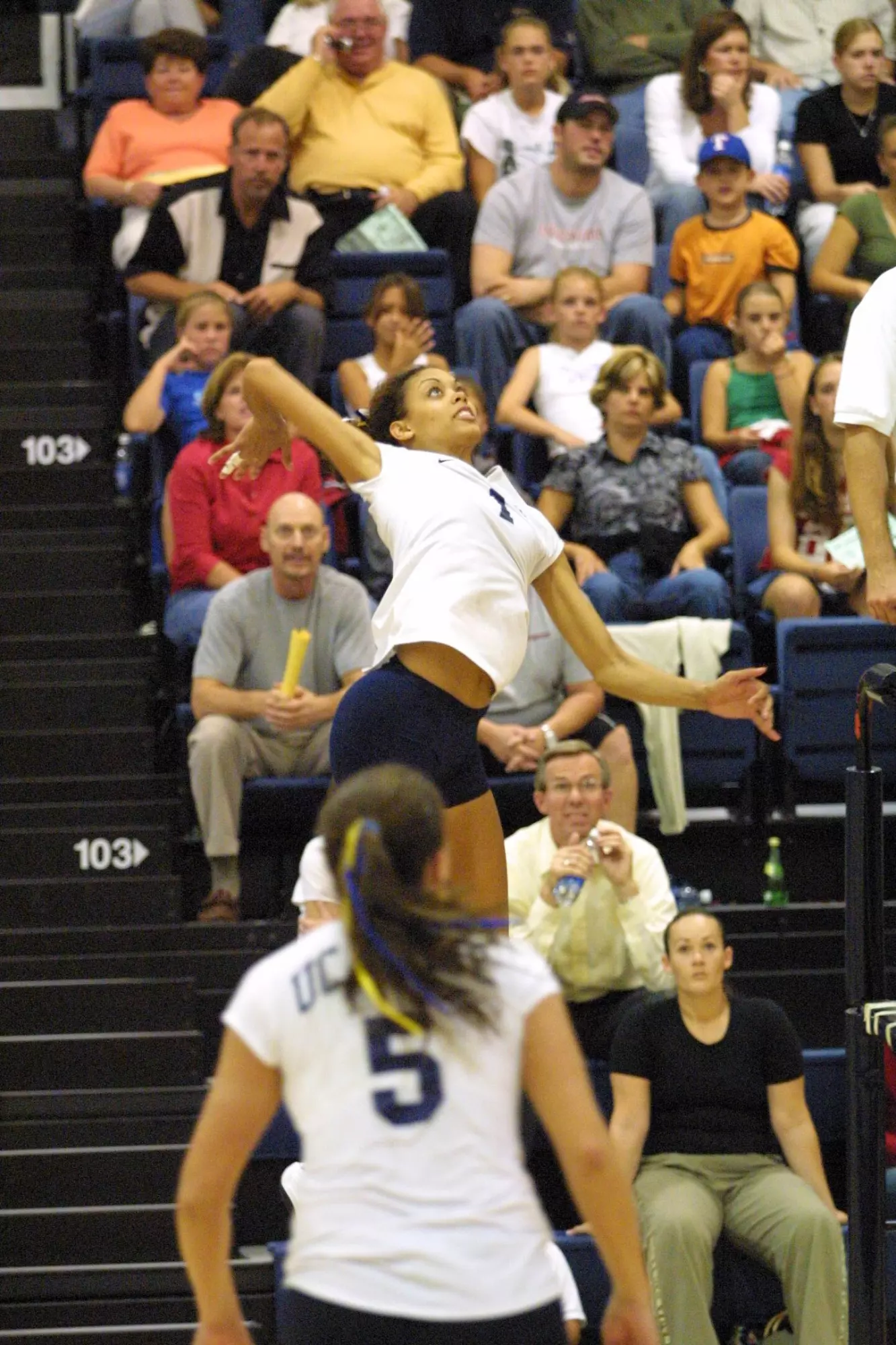 Trisha-White-WVB-2003