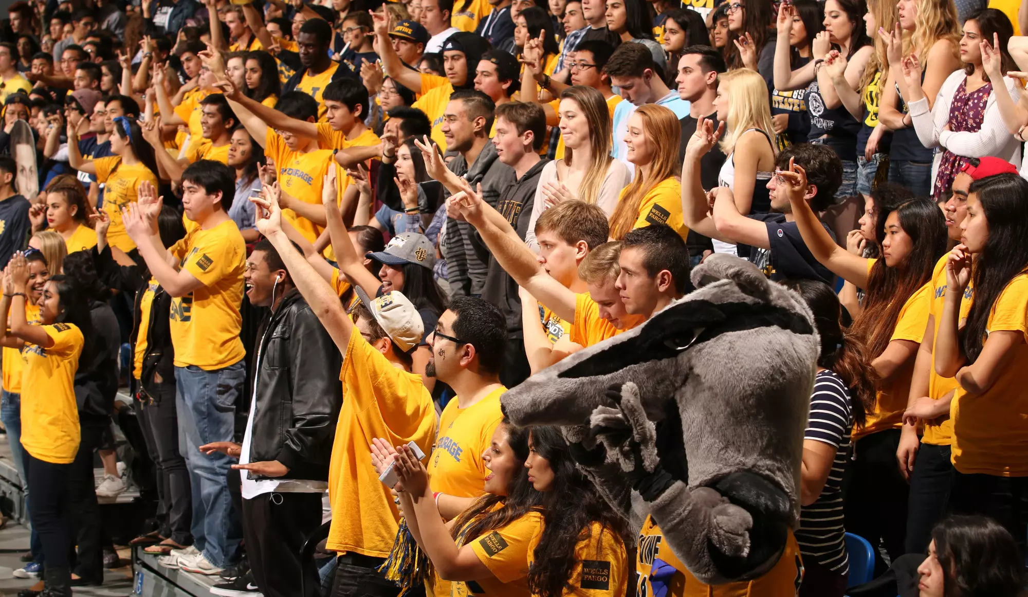 Crowd-Bren-Center-MBB-2014-15